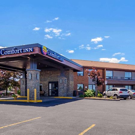 Comfort Inn Saint Catharines Ngoại thất bức ảnh